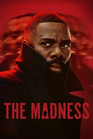 Download The Madness (2024) Season 1 Netflix Original Dual Audio {Hindi-English} WEB Series – 480p | 720p | 1080p WEB-DL